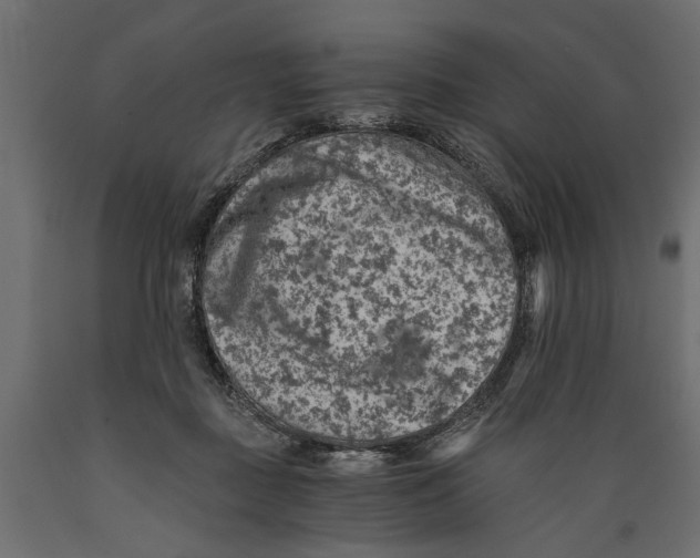X0000088890363200707061437