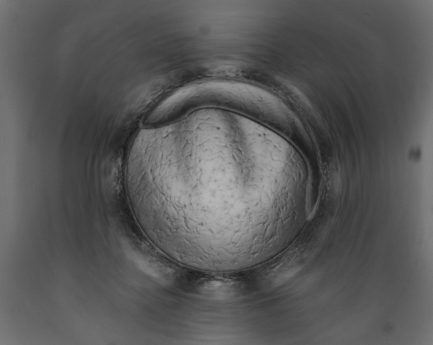 X0000088890364200707061437