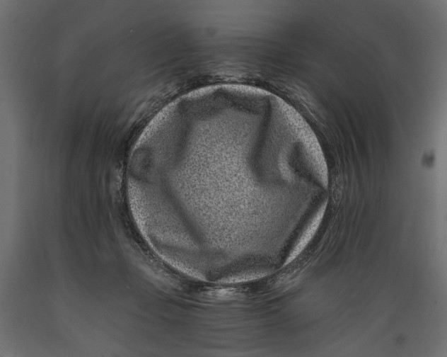 X0000088890365200707061437