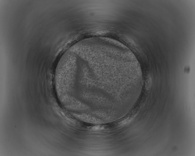 X0000088890366200707061437