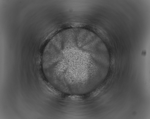X0000088890367200707061437