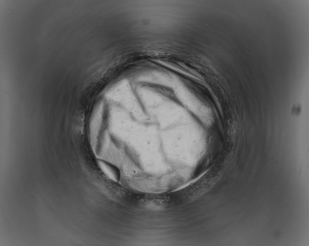 X0000088890368200707061437
