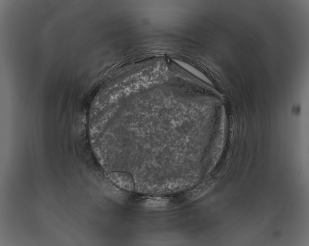 X0000088890369200707061437