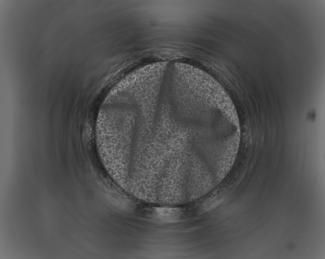 X0000088890371200707061437