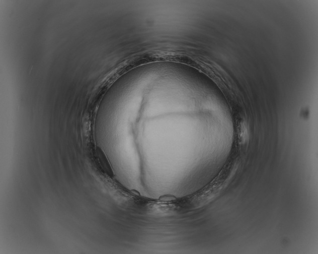 X0000088890372200707061437