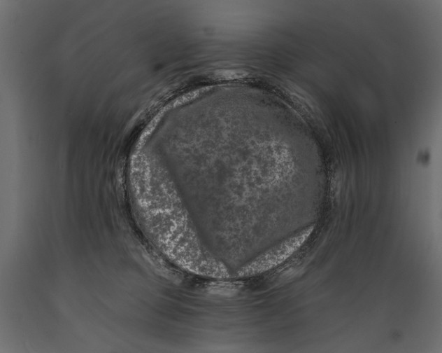 X0000088890373200707061437