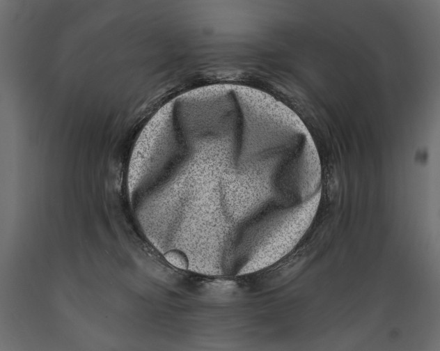 X0000088890374200707061437