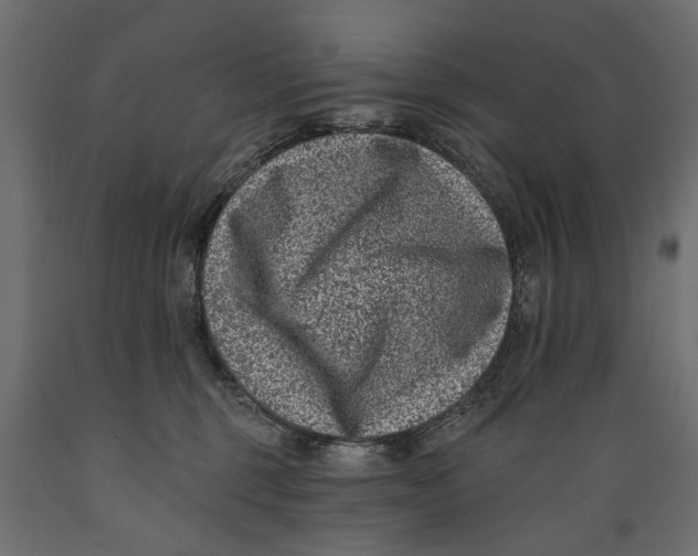 X0000088890375200707061437