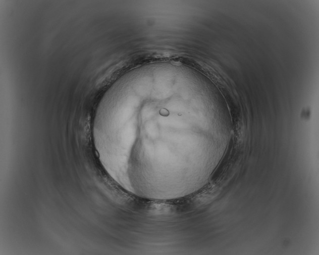 X0000088890376200707061437