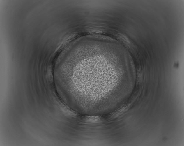 X0000088890377200707061437