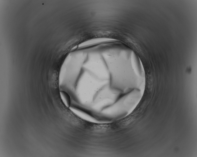 X0000088890378200707061437