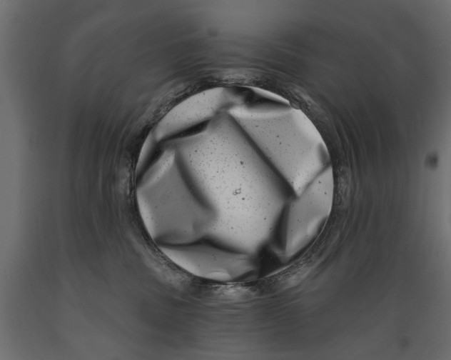 X0000088890379200707061437