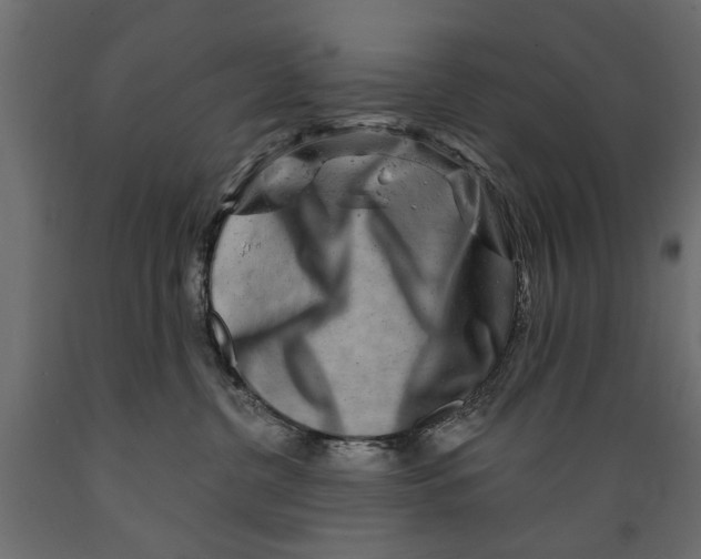 X0000088890380200707061437