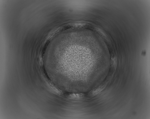 X0000088890381200707061437