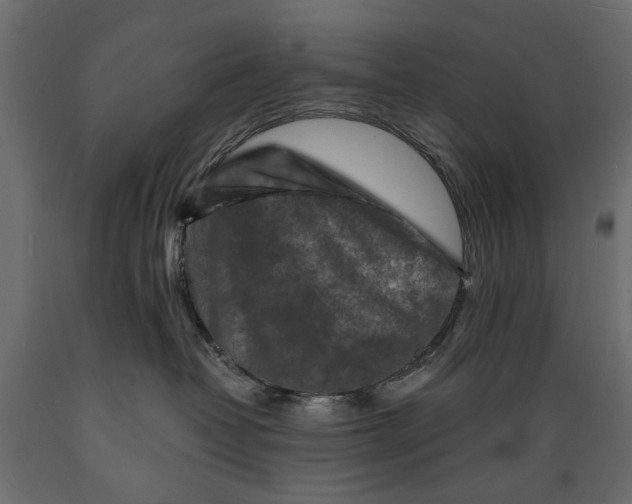 X0000088890382200707061437