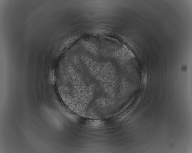 X0000088890383200707061437