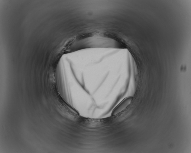 X0000088890384200707061437