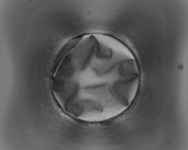 X0000088890385200707061437