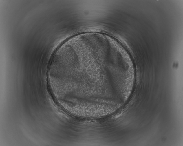 X0000088890386200707061437
