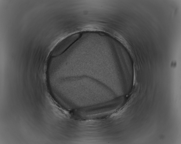 X0000088890387200707061437