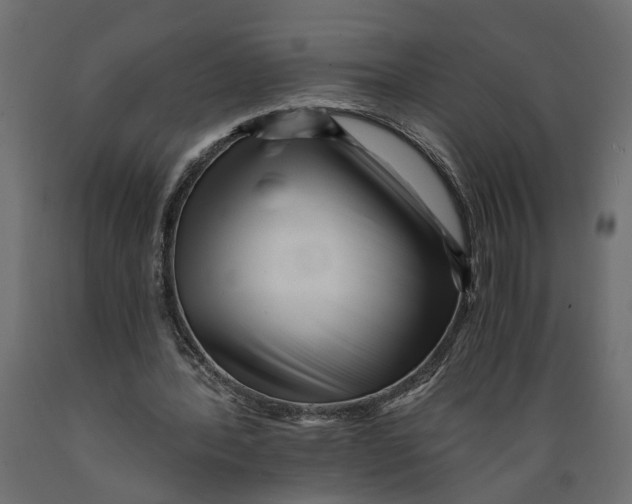 X0000088890388200707061436