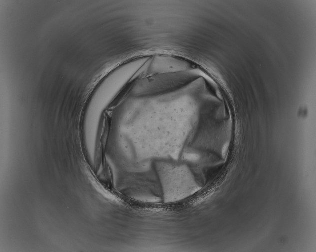 X0000088890389200707061436