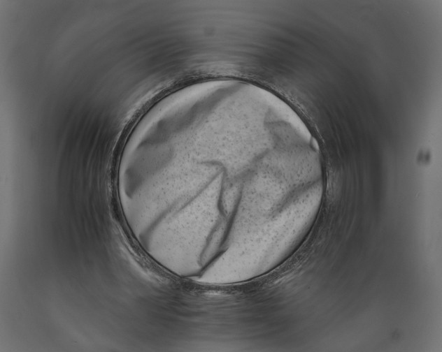 X0000088890390200707061436