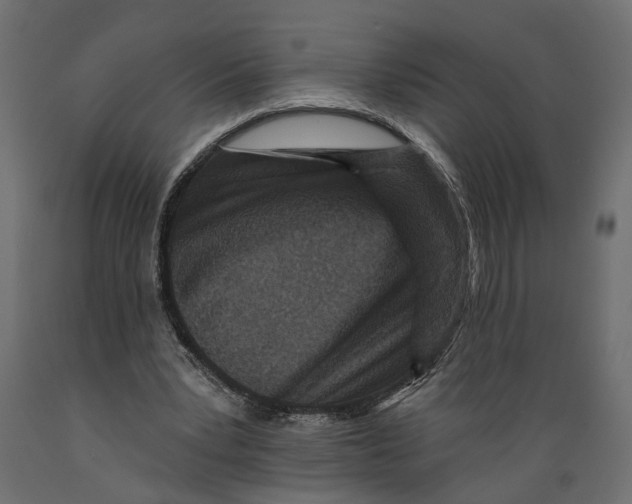 X0000088890391200707061436