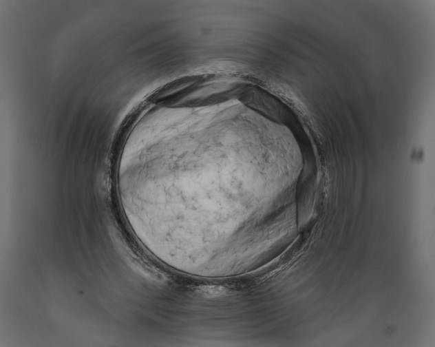 X0000088890392200707061436