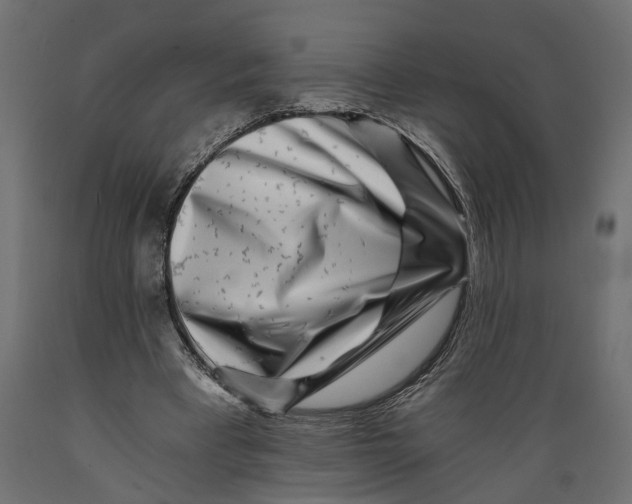 X0000088890393200707061436