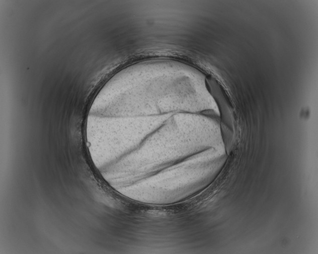 X0000088890394200707061436