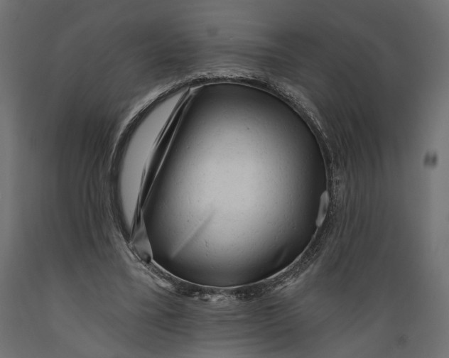 X0000088890395200707061436