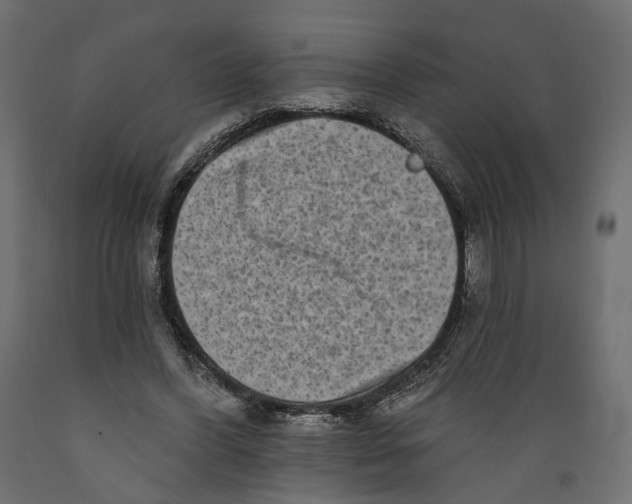 X0000088890396200707061436