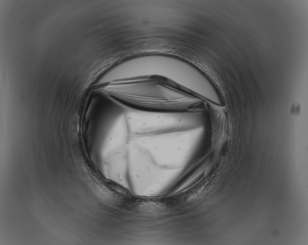 X0000088890397200707061436