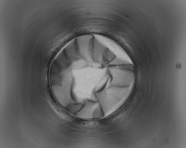 X0000088890398200707061436