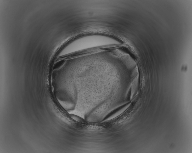 X0000088890399200707061436
