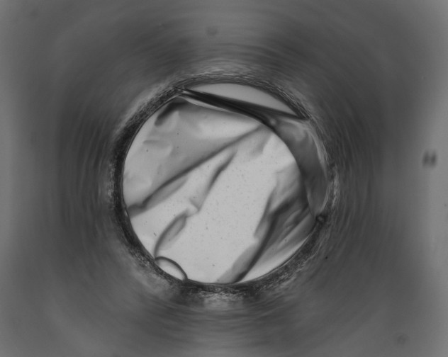 X0000088890400200707061436