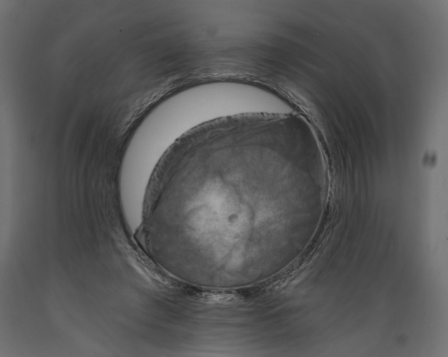 X0000088890401200707061436