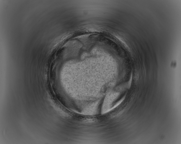 X0000088890402200707061436