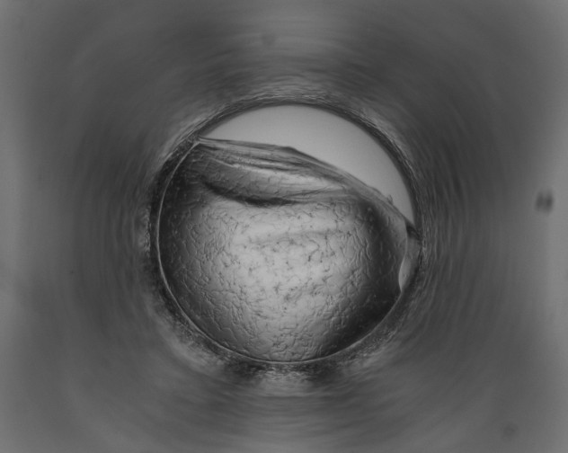 X0000088890403200707061436