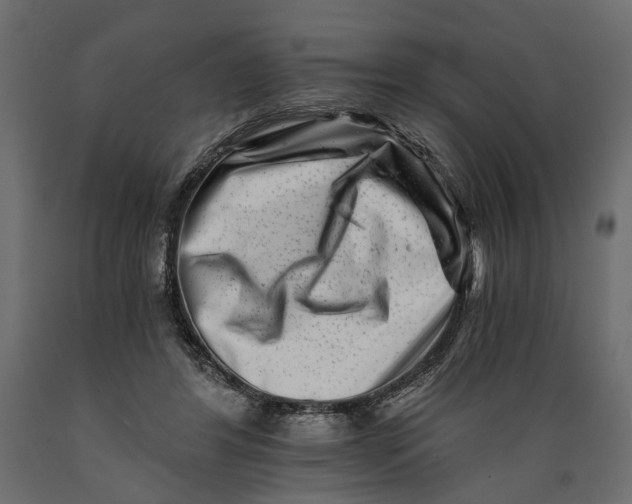 X0000088890404200707061436