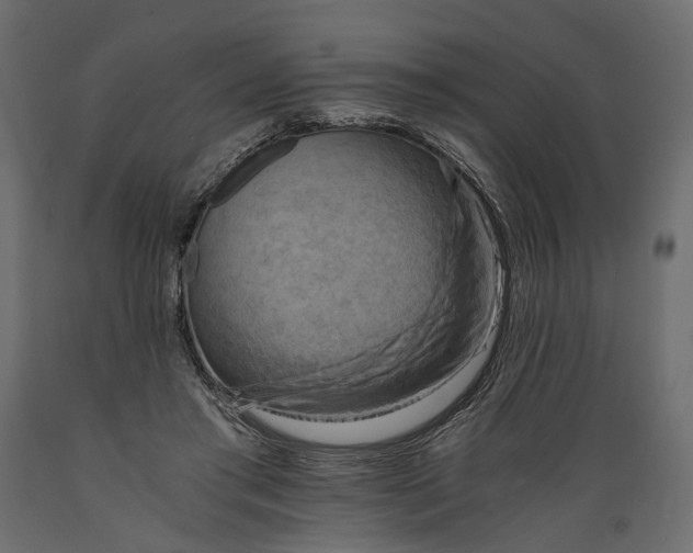 X0000088890405200707061436