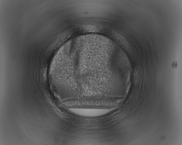 X0000088890406200707061436
