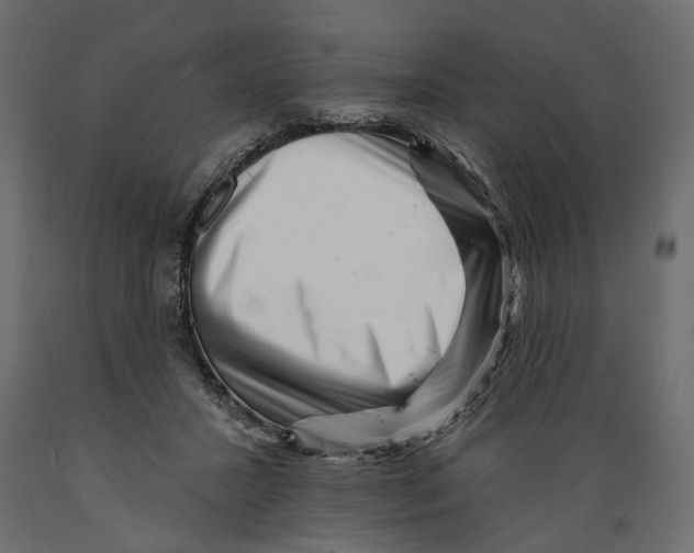 X0000088890407200707061436