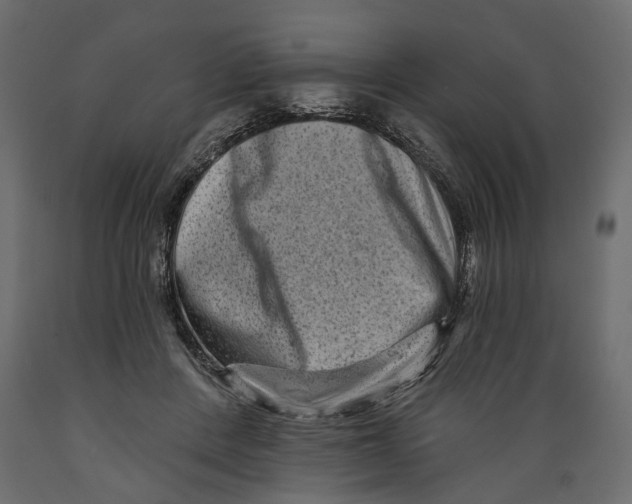 X0000088890408200707061436