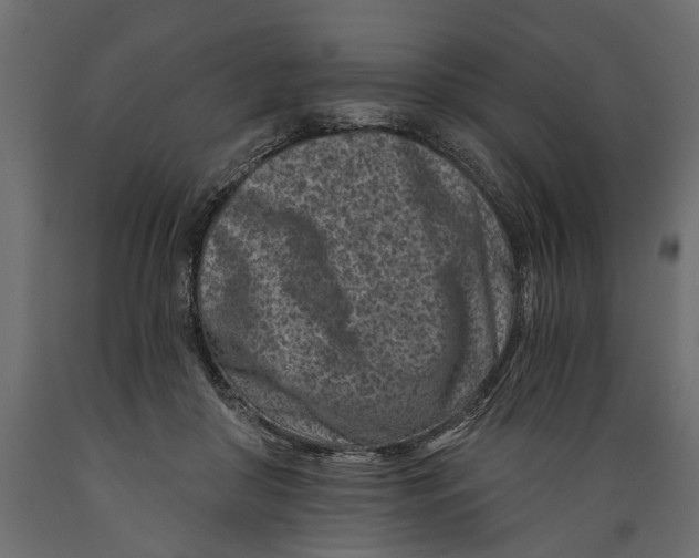 X0000088890410200707061436