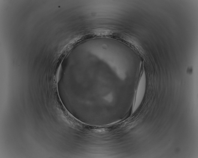 X0000088890411200707061436