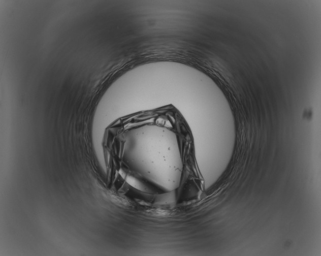 X0000088890412200707061436