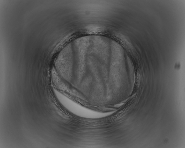 X0000088890413200707061436