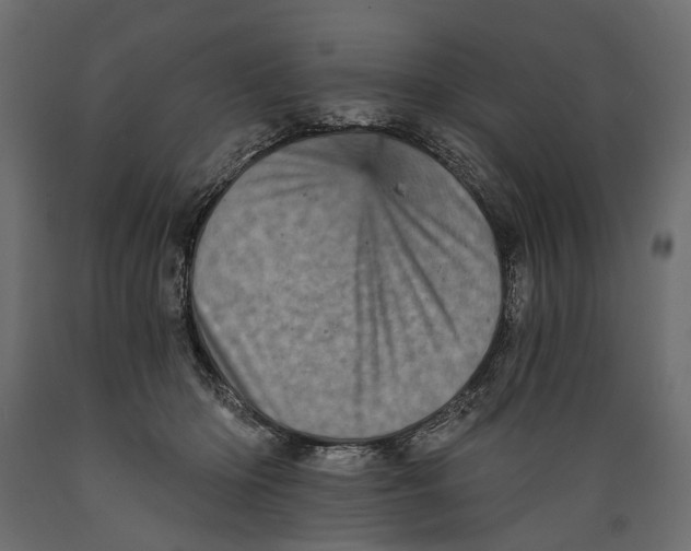 X0000088890414200707061436